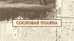 Сосновая поляна