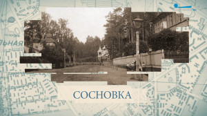 Сосновка