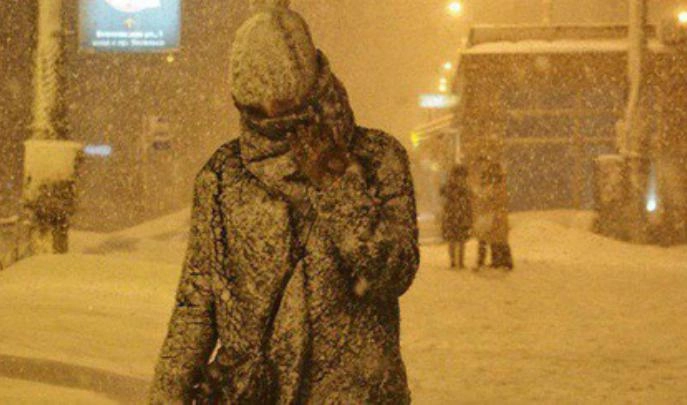 Пользователи соцсетей делятся фотографиями снежной петербургской весны - tvspb.ru