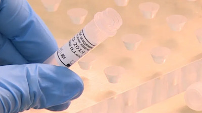 Более 19 тысяч петербуржцев сдали тесты на COVID за сутки