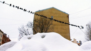 Как Петербург борется со снегом. Коммунальная арифметика