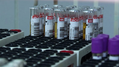 В Петербурге за сутки на COVID проверили 40 тысяч человек