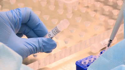 Более 26 тыс. человек сдали тесты на COVID в Петербурге