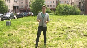 Реестр зеленых насаждений как попытка защитить Петербург от застройки
