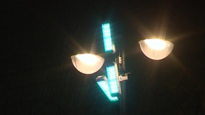 Пешеходные переходы Петербурга подсветили светодиодными прожекторами