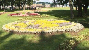 В Петербурге подведут итоги конкурса «Сад цветов»