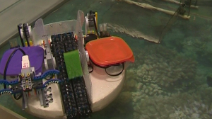 Петербургские школьники создали автоматизированную систему очистки воды