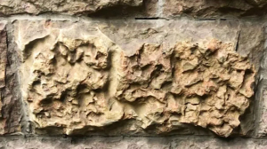 В вестибюле станции метро «Лесная» обнаружили следы древних окаменелостей