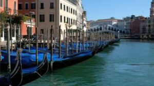 Коронавирус. Закрытые зоопарки и прозрачная вода в Венеции