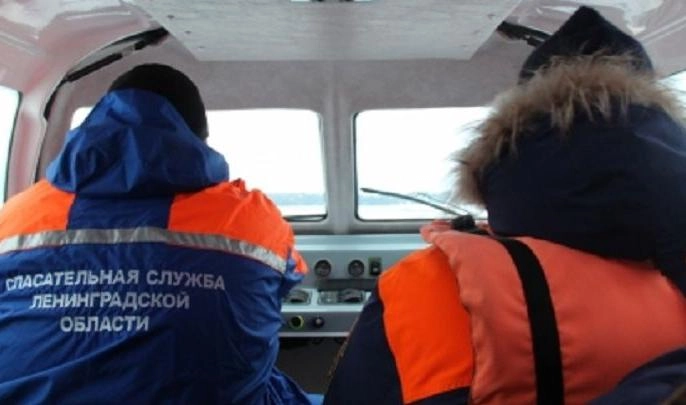 Под Петербургом спасли женщину, провалившуюся под лед реки Ижора - tvspb.ru