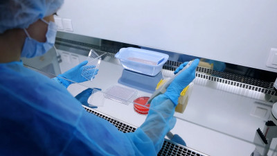 Пострегистрационные исследования вакцины «Конвасэл» запланированы на конец лета