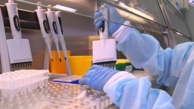 Тесты на коронавирус сдали еще почти 29 тысяч петербуржцев