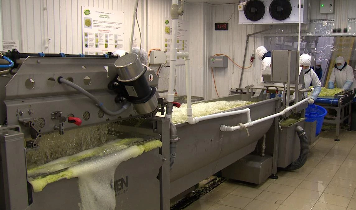 На петербургских предприятиях выросла производительность труда - tvspb.ru