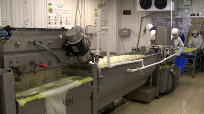 На петербургских предприятиях выросла производительность труда