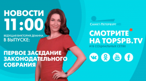 Новости. 11:00