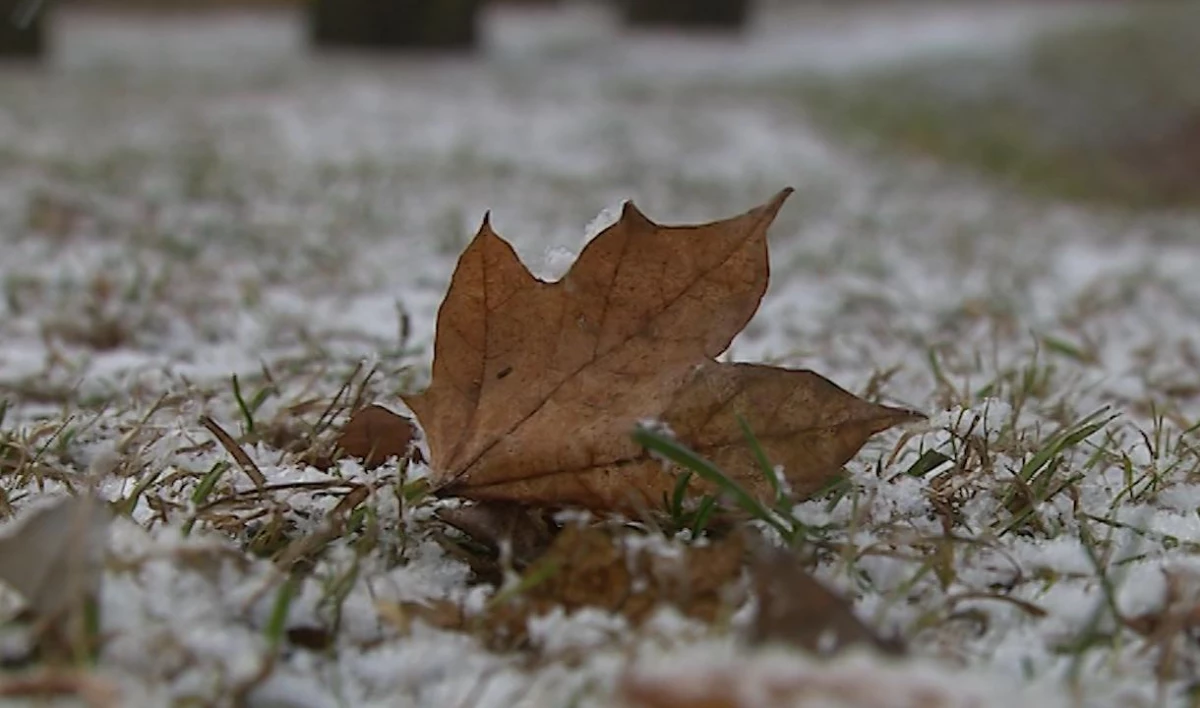 Эксперт рассказал, как по Покрову определяли погоду на зиму - tvspb.ru