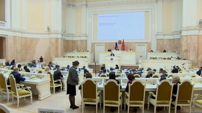Депутаты ЗакСа обсудили нехватку мировых судей в Петербурге
