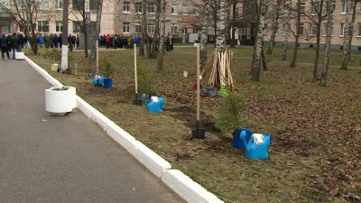 Ели и липы высадили на аллее «Почетных гостей госпиталя для ветеранов войн»