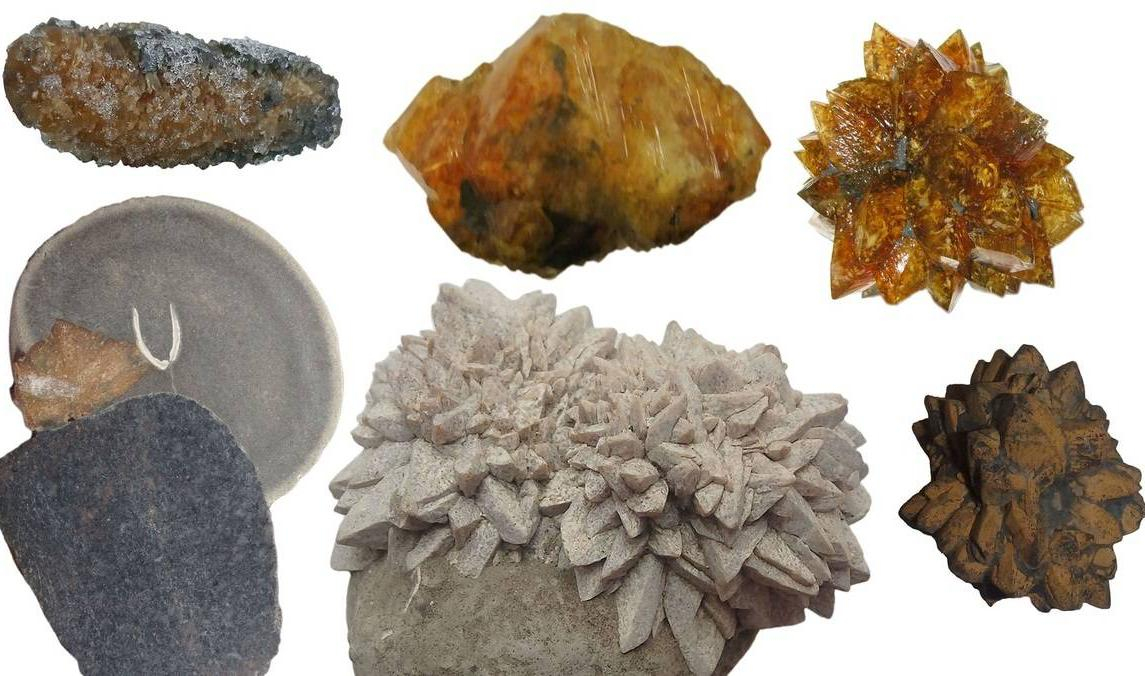 Петербургские ученые исследуют минералы, чтобы узнать больше о климате на Земле в последние 540 млн лет