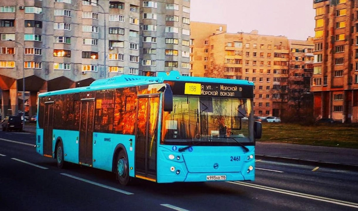 100 новых низкопольных автобусов вышли на улицы Петербурга - tvspb.ru