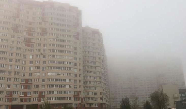 В Петербург в пятницу придет туман - tvspb.ru