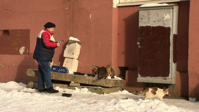 В Петербурге в помощь заботящимся о бездомных животных пенсионерам создали проект «Бабушка накормит»
