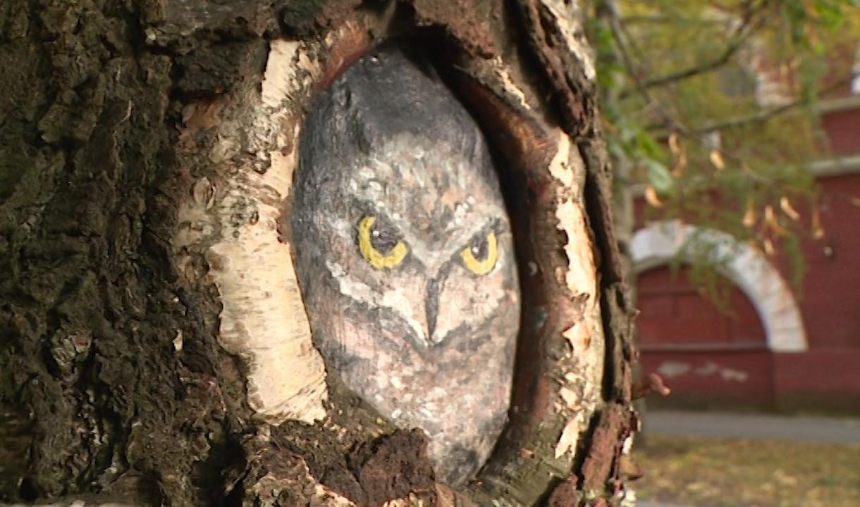 Рисунки на коре как способ спасения деревьев. В Кронштадте активисты  расписали зелёные насаждения