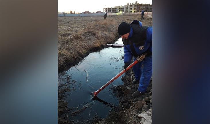 В Пушкинском районе экологи ликвидировали разлив нефти