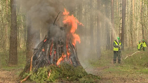 В Приморском районе «тушили» лесной пожар