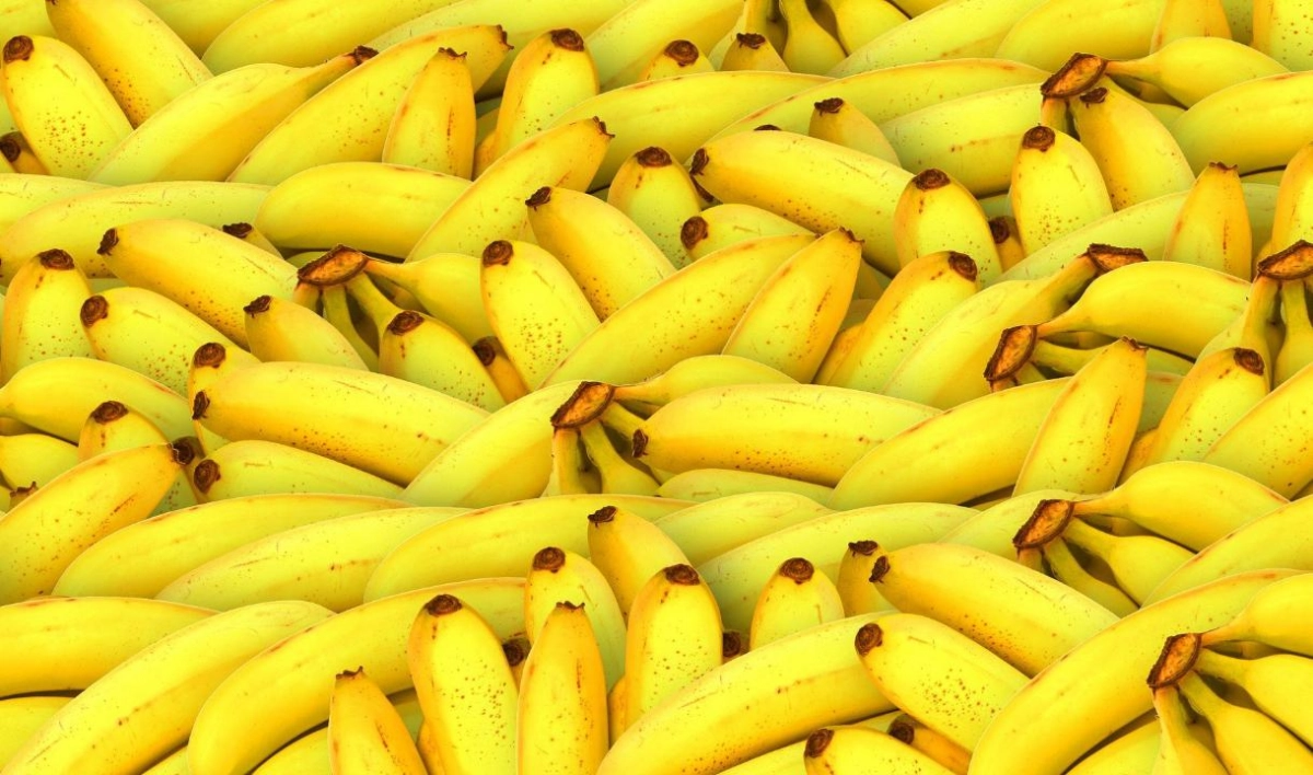 Российские торговые сети столкнулись со сложностями при закупке бананов из Эквадора - tvspb.ru