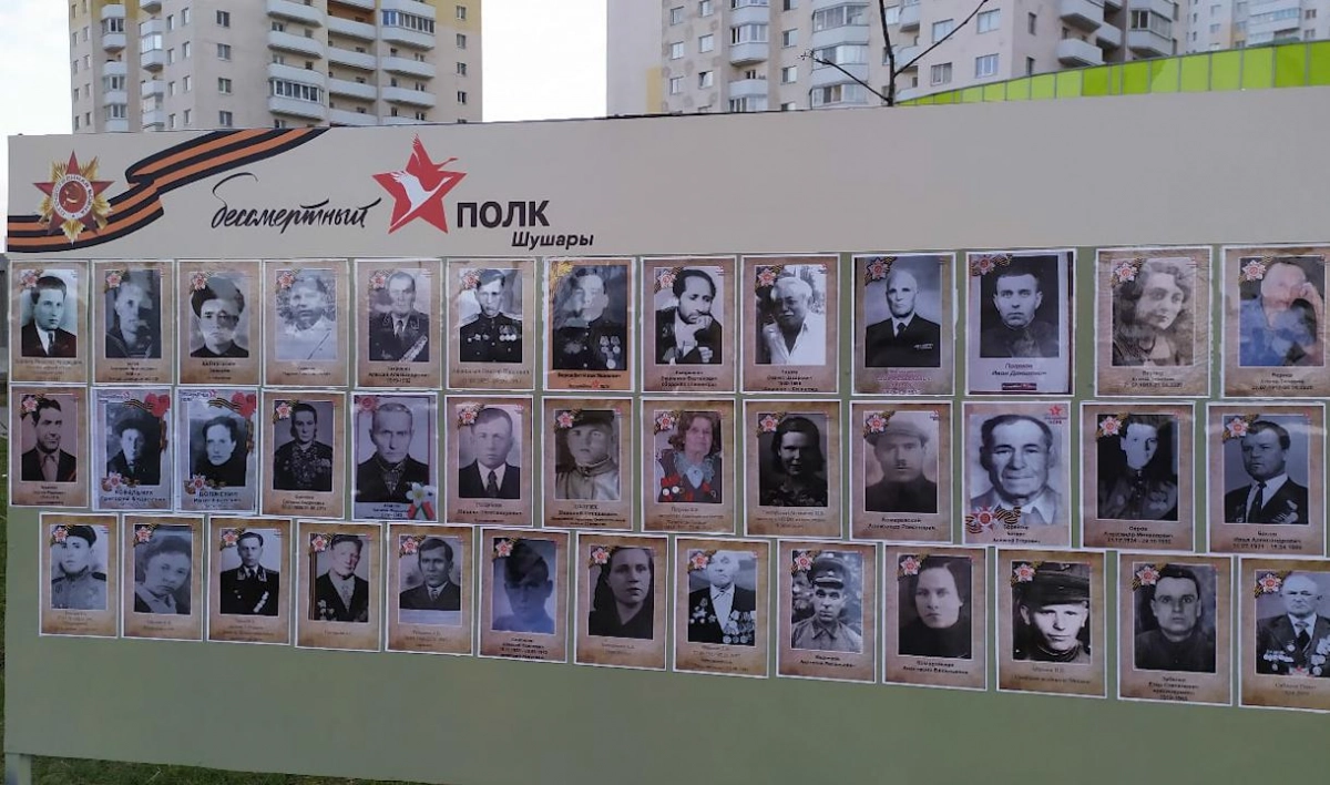 «Бессмертный полк». В Шушарах установили стенд с фотографиями участников войны - tvspb.ru