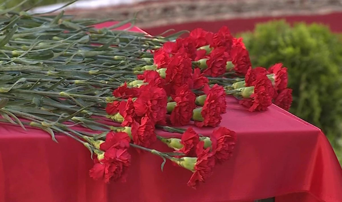 В День полного освобождения Ленинграда от блокады к монументу «Мать-Родина» возложат цветы - tvspb.ru