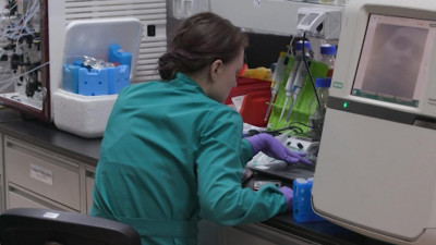 В России идет испытание шести вакцин против коронавируса