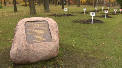 В Приморском парке Победы разбили Аллею телевещания и высадили на ней 10 дубов