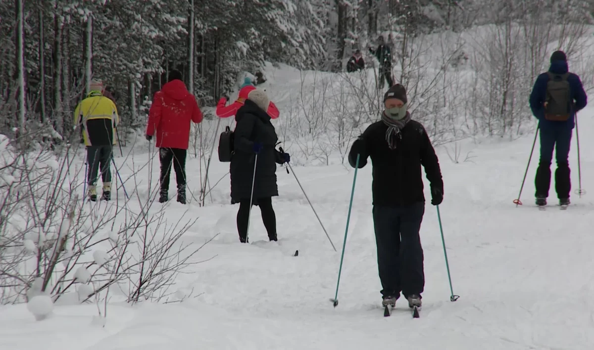 Петербуржцам напомнили о роли ЗОЖ в борьбе с коронавирусом - tvspb.ru