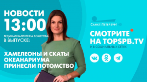 Новости. 13:00