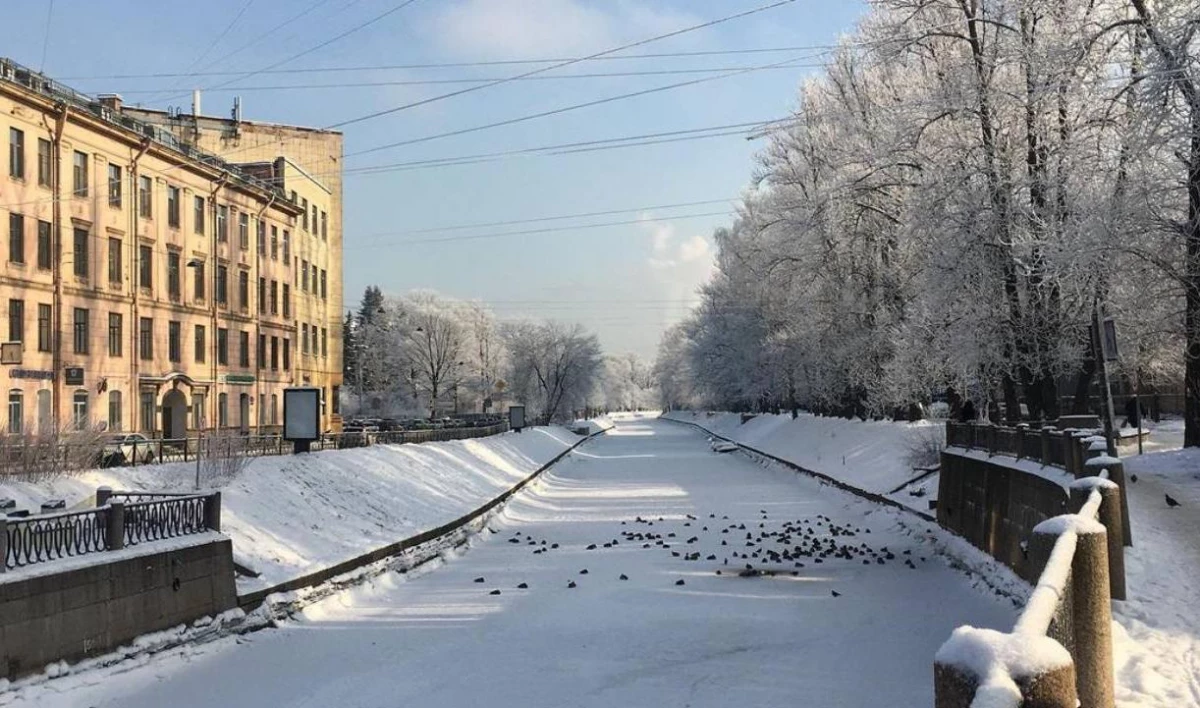 Петербуржцы делятся фотографиями заснеженного города в соцсетях - tvspb.ru