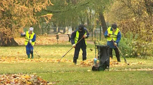 Оценка осенней уборки