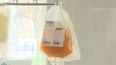 Лечение COVID-19 с помощью плазмы обсудят в программе «Петербург против коронавируса»