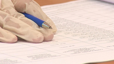 Участие в общероссийском голосовании в Петербурге приняли более 349 тысяч человек