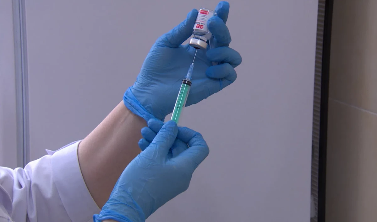 Медведев допустил введение обязательной вакцинации от коронавируса - tvspb.ru