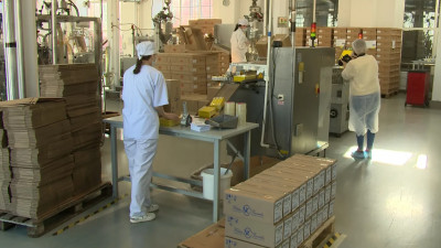 Петербургский завод займется импортозамещением косметики