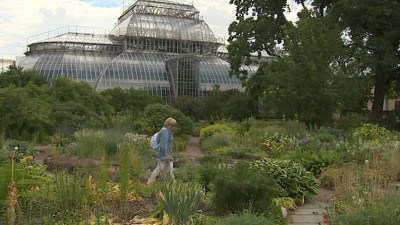 Пройтись под абрикосами, свернуть на виноградную. Ботанический сад вновь доступен для посетителей