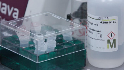 Минздрав разрабатывает экспресс-тест для выявления нового типа короновируса из Китая