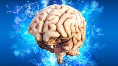 Британский нейрофизиолог рассказал, где живет душа человека