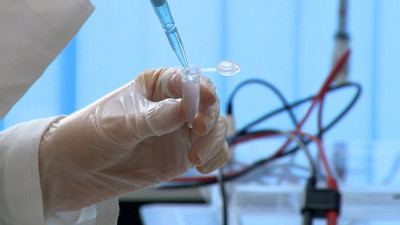 Петербургские ученые создали «генетическую флешку» для доставки ДНК и РНК в клетку