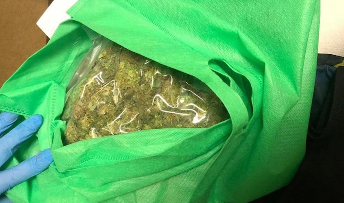Петербуржца с марихуаной в рюкзаке задержала полиция - tvspb.ru