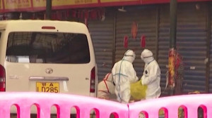 Диагноз «коронавирус» у госпитализированных в Петербурге не подтвердился