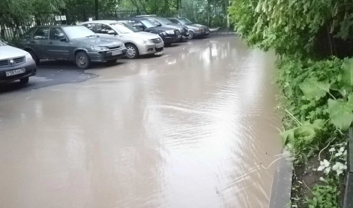 В «Теплосети» назвали причину разлива воды на улице Тельмана - tvspb.ru