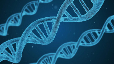 Владимир Путин провел совещание по вопросам развития генетических технологий